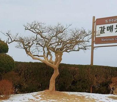 2023년 1월 월례미사 및 성지순례